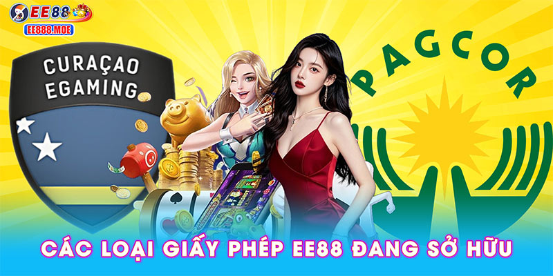 Các loại giấy phép EE88 đang sở hữu